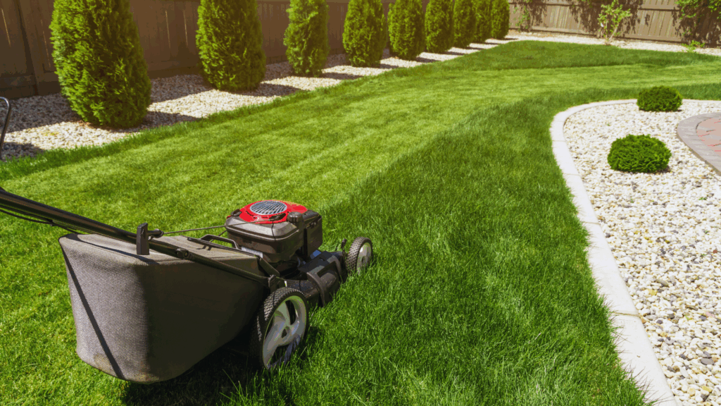 Gut gerüstet für den Winter: Warum die Herbstdüngung für den Rasen so wichtig ist Rasenpflege (über MariuszBlach)