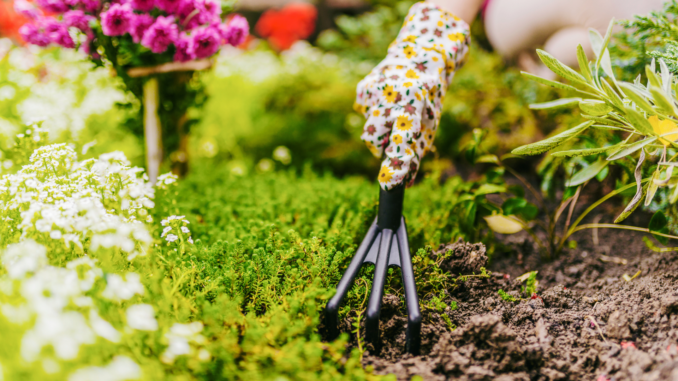 Garten (über ljubaphoto)