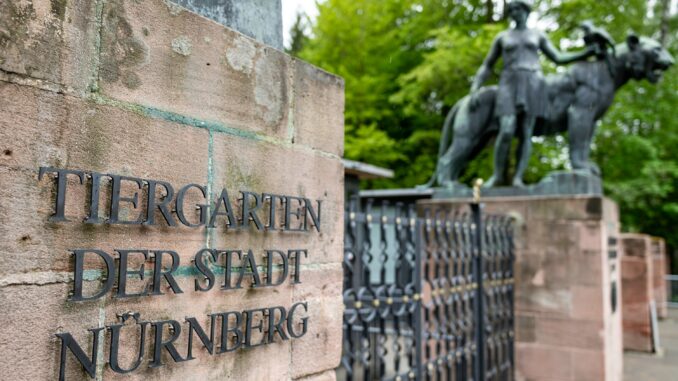 Tiergarten Nürnberg erhöht Eintrittspreise ab Februar 2026 – Dauerkarten bleiben stabil